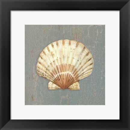 Framed Scallop Shell Print