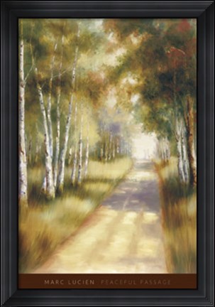 Framed Peaceful Passage Print