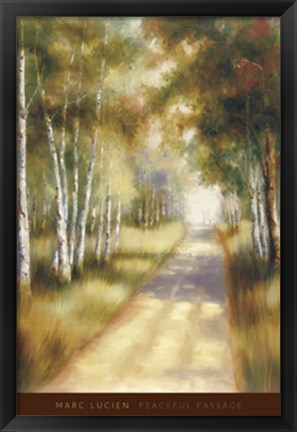 Framed Peaceful Passage Print