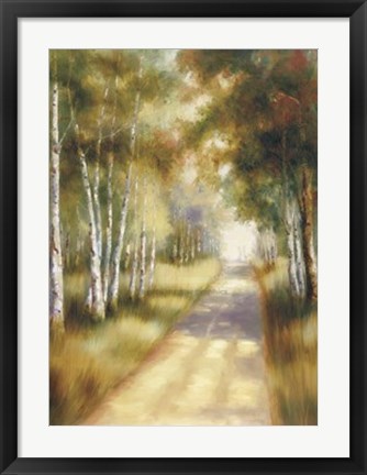 Framed Peaceful Passage Print