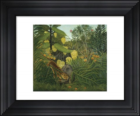 Framed Fight Between a Tiger and Buffalo, 1908 Print
