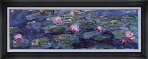 Framed Water Lilies (Detail horizontal) Print