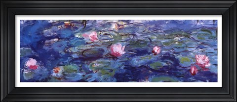 Framed Water Lilies (blue and purple) Print