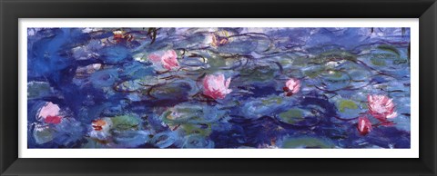 Framed Water Lilies (blue and purple) Print