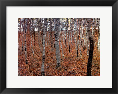 Framed Forest of Beeches, c.1903 Print