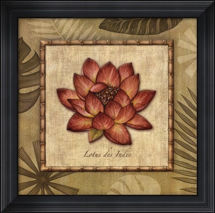 Framed Paradisio III - Grande Print