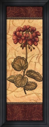 Framed Red Passion Geranium Print