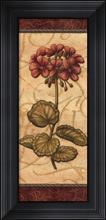 Framed Red Passion Geranium - mini Print