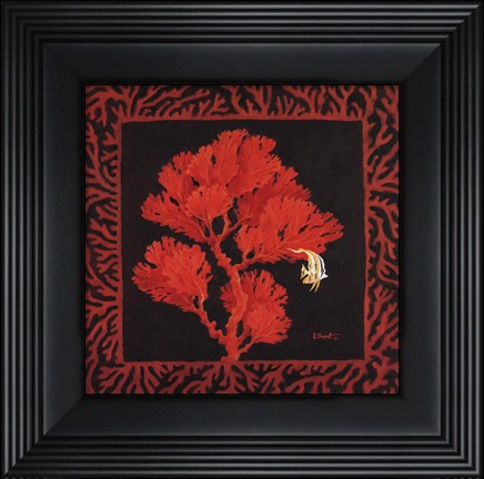 Framed Sea Fan II Print