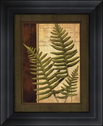 Framed Fern Grotto III Print