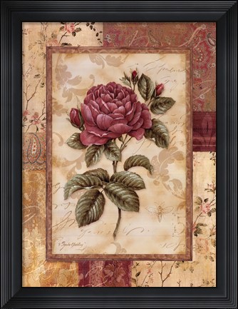 Framed Provence Rose I Print