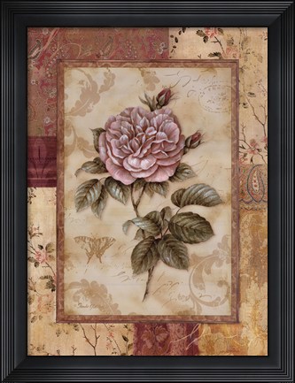 Framed Provence Rose II Print
