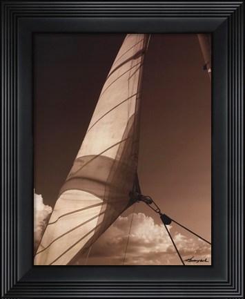 Framed Windward Sail II Print