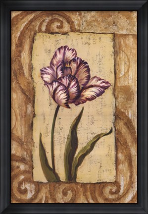 Framed Classic Tulip I Print