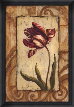 Framed Classic Tulip II Print