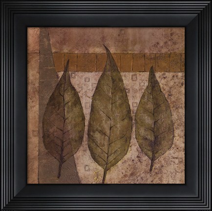 Framed Nature Study 2 Print