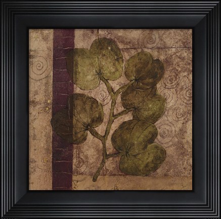 Framed Nature Study 4 Print