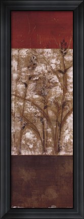 Framed Fresco II - CS Print
