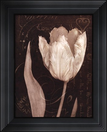 Framed Garden Architecture II Print