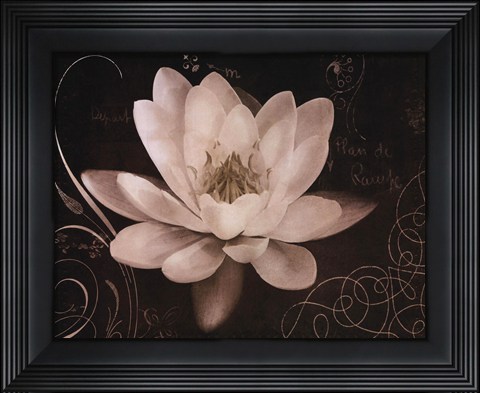 Framed Garden Journal IV Print