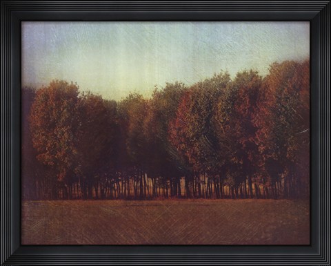 Framed Nature's Bliss II Print