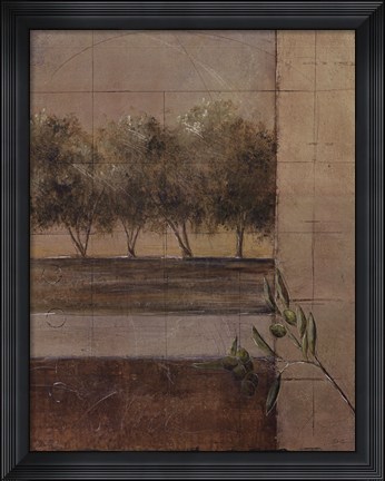 Framed Olive Groves II - CS Print