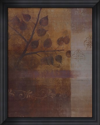 Framed Woodland Shadows II - CS Print