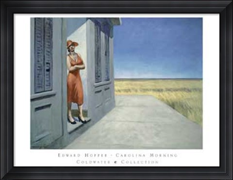 Framed Carolina Morning Print