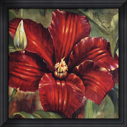 Framed Rosa Odorada Print
