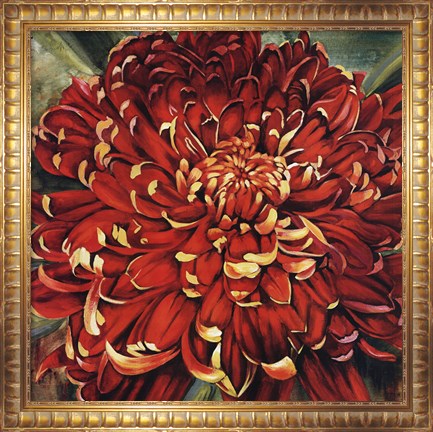 Framed Chrysanthemum Print