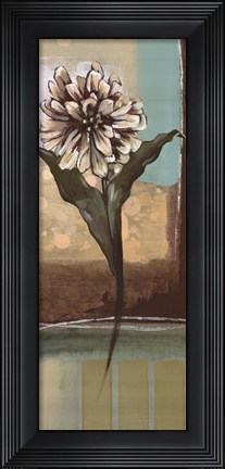 Framed Floral Splendor II Print