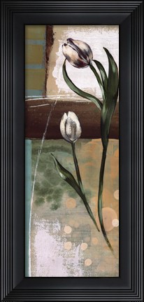Framed Floral Splendor III Print