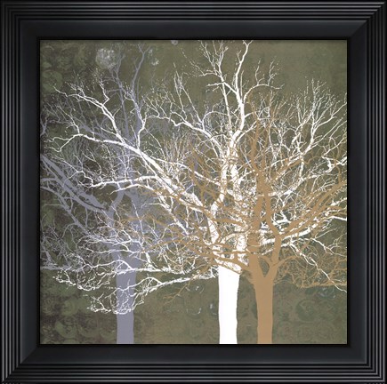 Framed Quiet Forest Print