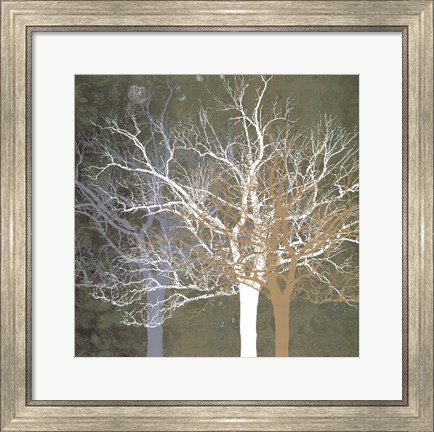 Framed Quiet Forest Print