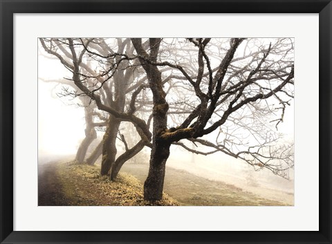 Framed Early Morning Calm Print