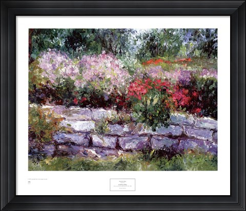 Framed Scintillating Print