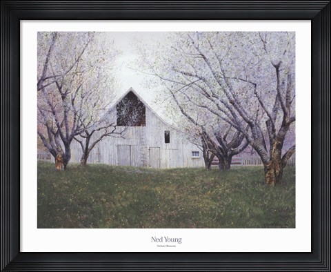 Framed Orchard Blossoms Print