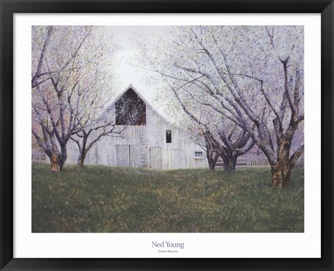 Framed Orchard Blossoms Print