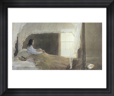 Framed Chambered Nautilus Print