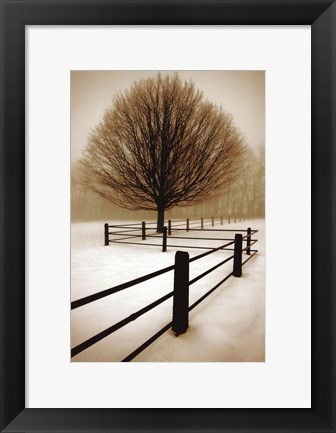 Framed Solitude Print