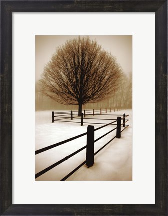 Framed Solitude Print