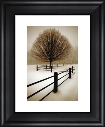 Framed Solitude Print