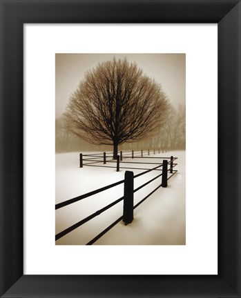 Framed Solitude Print