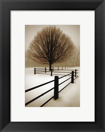 Framed Solitude Print