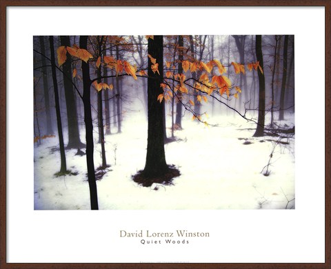Framed Quiet Woods Print