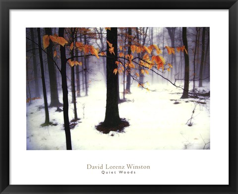 Framed Quiet Woods Print