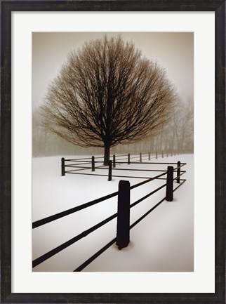 Framed Solitude Print