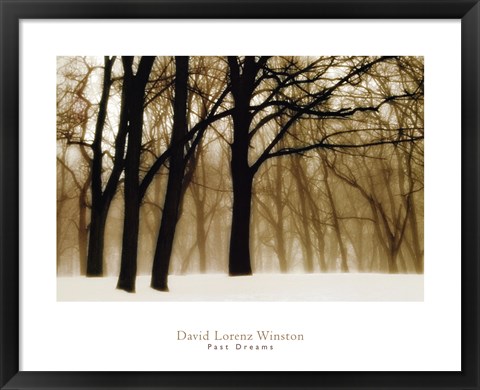 Framed Past Dreams Print