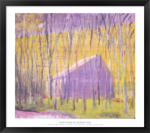 Framed Saltbox Barn, 2002 Print