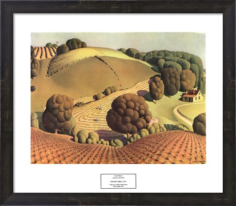 Framed Young Corn Print